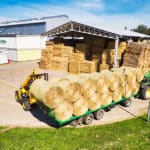 Biomasa Partner Group