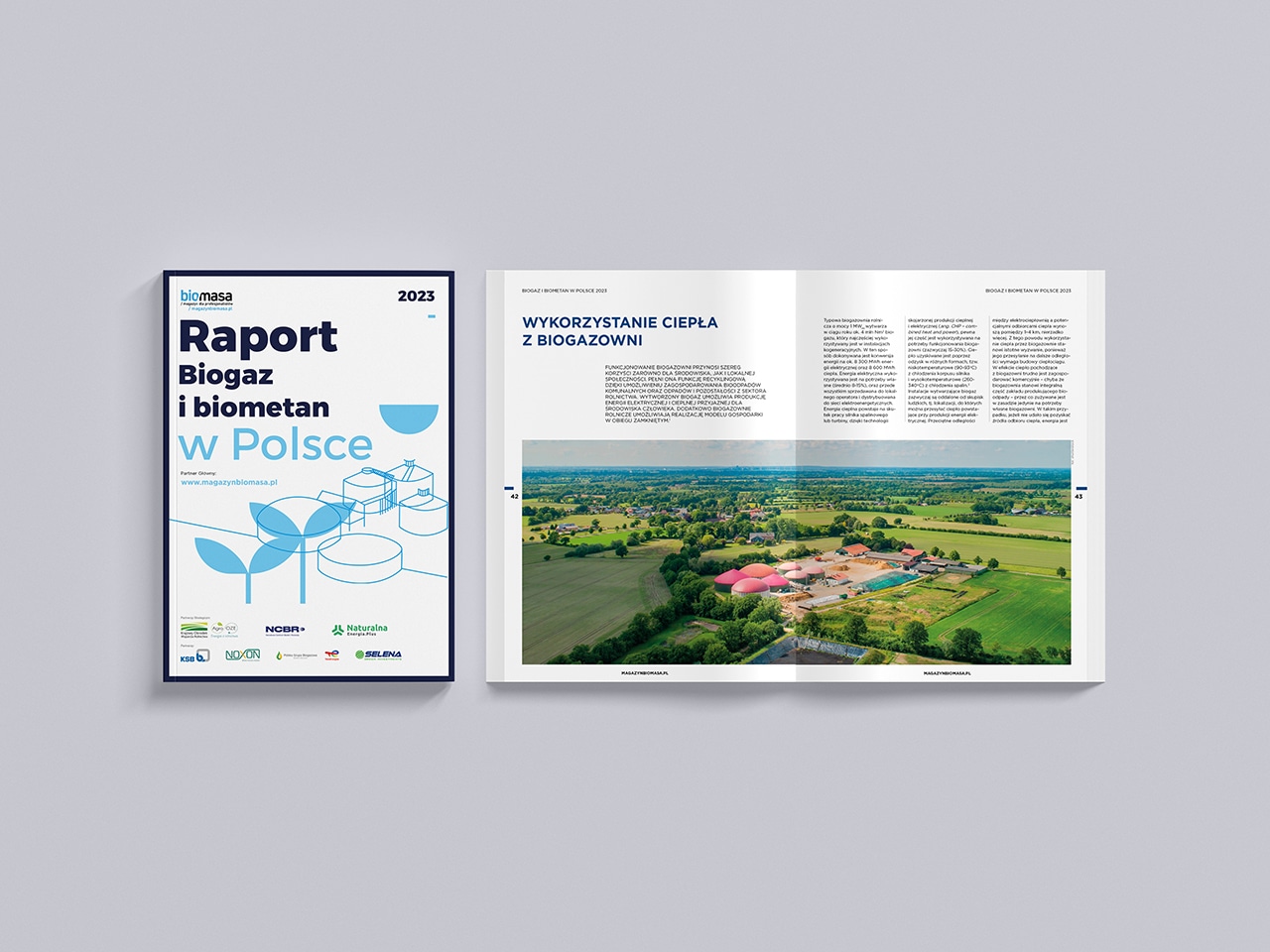 Raport Biogaz i Biometan w Polsce