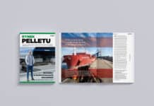 Rynek Pelletu 2025 mockup