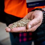 Wizyta studyjna w Gdańskim Terminalu Masowym, 9. Forum Pelletu Wizyta studyjna w Gdańskim Terminalu Masowym, 9. Forum Pelletu